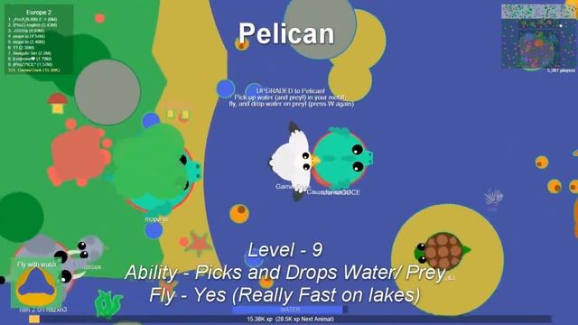 Mope.io ALL BIRDS GAMEPLAY !! All Bird Biome Birds + Rare Birds