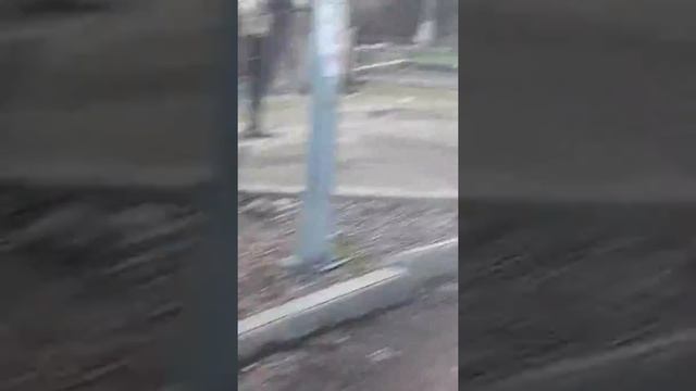Продолжение Зима в ШЫМКЕНТЕ 4 новый друг саранчи терминатора и жабы Клавы , цапля Белоснежка.😂😂 смотреть онлайн