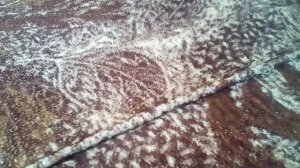 Настоящий лицо познавателя и железный медведь Валера