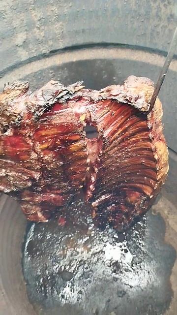 Costillar De Jabalí Ahumado , Síganme Para La Segunda Parte