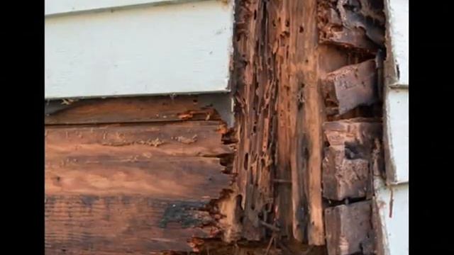 4:11 Delano Wood Repair call Shafran 310-295-1960 смотреть онлайн