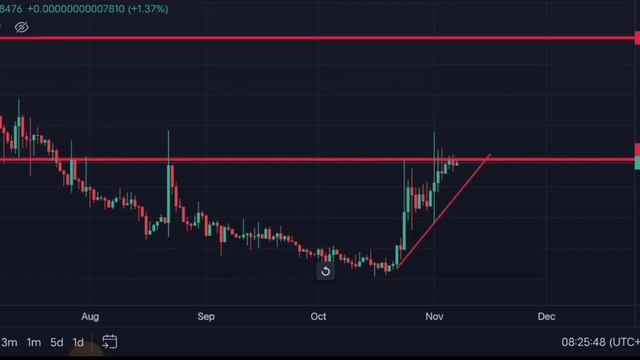 Can I BUY NOW || BNB Tiger INU || Wiki Cat Coin || Digimon Rabbit Coin смотреть онлайн