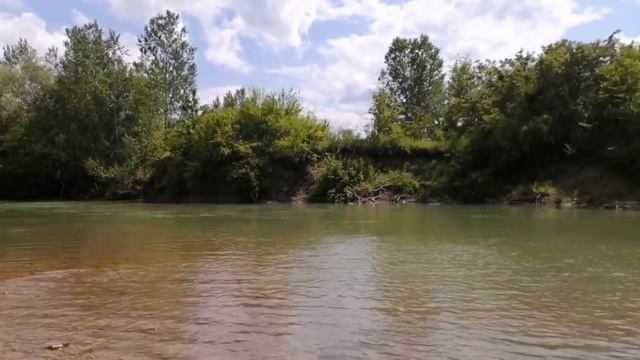 Давно я так не веселилась 💃🕺💃 смотреть онлайн