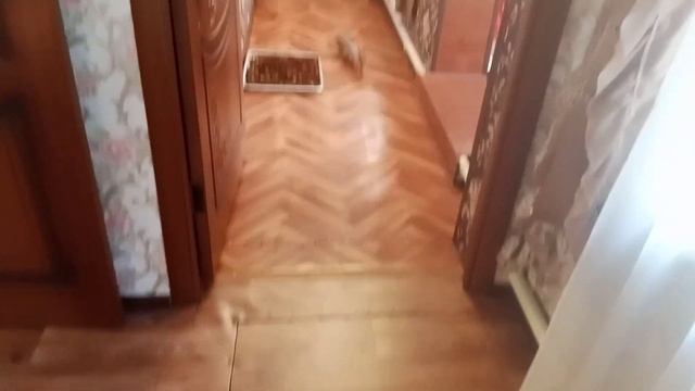 сейчас открою смотреть онлайн