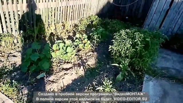 20. Обзор участка