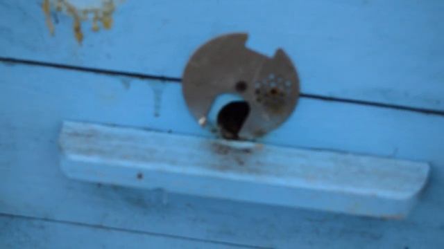 Ульевые донья на пасеке "ПчелоБатя" смотреть онлайн