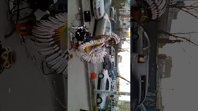 индеиц в Новосибирске ))) смотреть онлайн