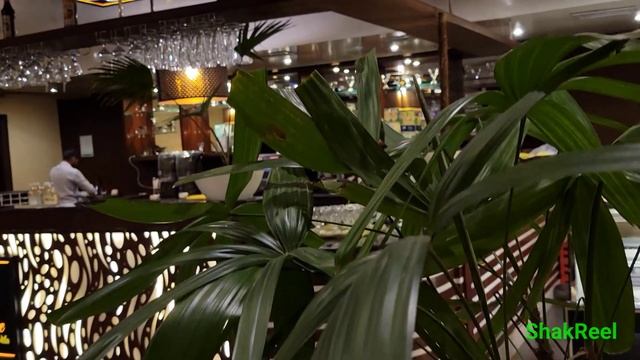 Enjoying Coffee @ | Dolce Vita Restaurant & Coffee Bar #ShakReel смотреть онлайн