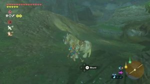 The Legend of Zelda: Breath of the Wild  [100%] (2017) [Nintendo Switch] - Часть 24 из 25