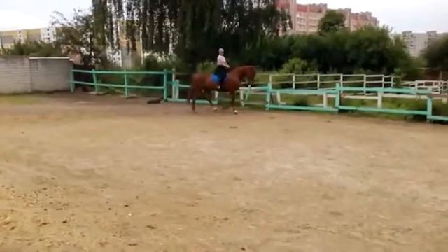 галоп направо смотреть онлайн