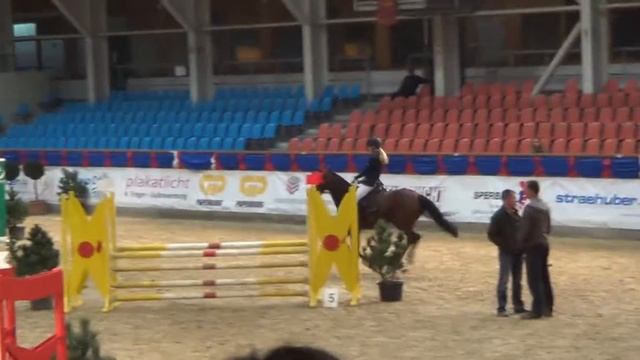 A Stilspringen Lotti+Komtesse Neustadt/ Dosse смотреть онлайн