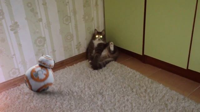 Серый всё смотреть онлайн