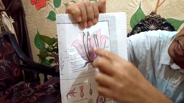الأزهار وأجزاء النبات الأخرى ووظائفها ... Flowers and other plant parts and their functions смотреть онлайн