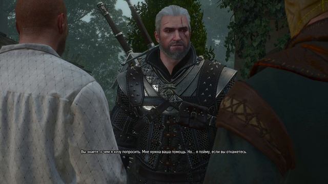 2025 the wither 3 #65