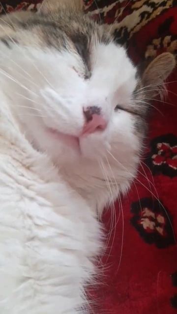 11 марта 2023 г. смотреть онлайн