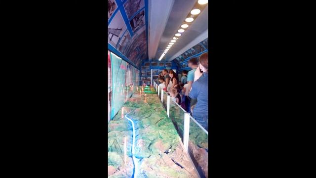 Серия 16. Железнодорожный салон EXPO 1520 смотреть онлайн