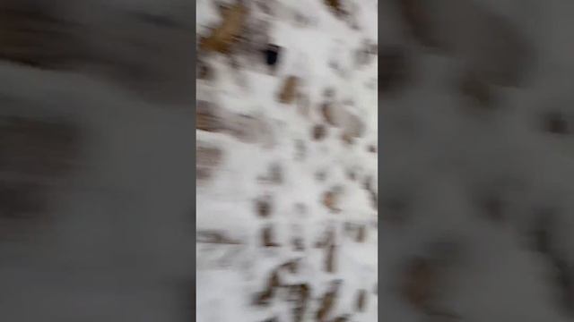 23 января 2023 г. смотреть онлайн