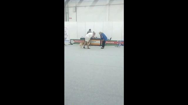 Пермь Цациб 06.02.22 смотреть онлайн