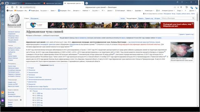 Африканская чума свиней смотреть онлайн