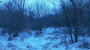 👍 СУПЕР УДАЧНАЯ ОХОТА С ХАТСАН 125 💪