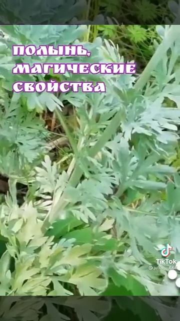 21 ноября 2021 г. смотреть онлайн