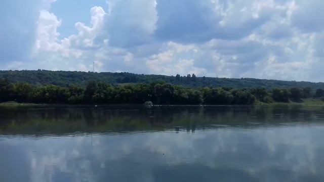 Река Днестр,13 июля.Вдали проплывают лебеди🌞 смотреть онлайн