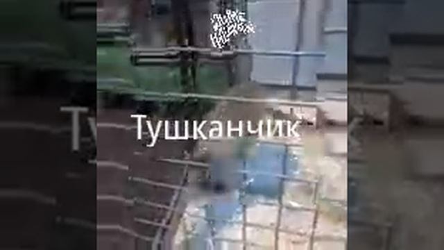 Тушканчик
