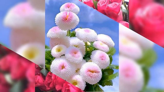 Доброе утро. смотреть онлайн