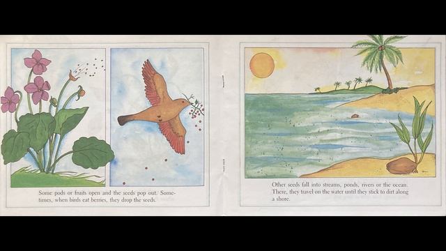 From Seed to Plant - Read Alouds with Mr. Jason смотреть онлайн