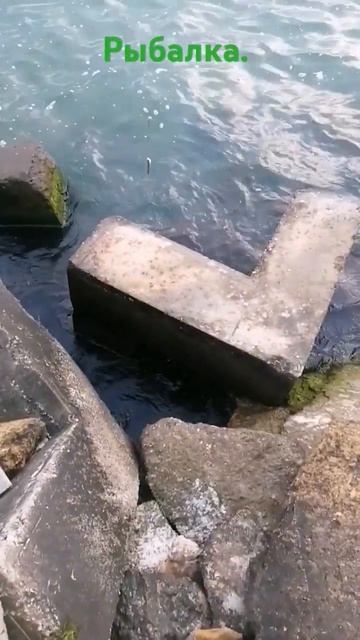 рыбка попалась. #рыбалка #рыба #море #отдых #вода #берег #волна #туризм смотреть онлайн