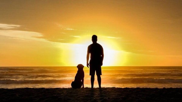 гр.ГороД - Друг