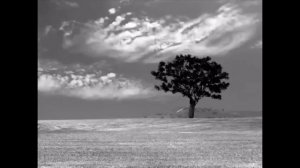 Гусейн Манапов - Небо Над Землей текст