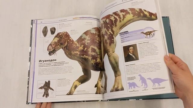 Динозавры. Самая полная современная энциклопедия смотреть онлайн
