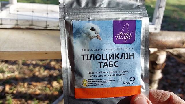 Голуби.Лікую голубів.#голуби #голубятник #pigeons смотреть онлайн