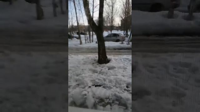 ВЛОГ! Доброе утро. погода хорошая 03.03.2022 Жилетово