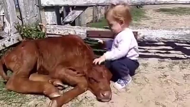 Милота :-D смотреть онлайн