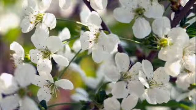 MARINA    Cover Vital Moskalenko