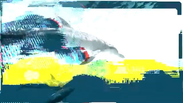 Bring Me The Horizon - Dead Dolphin Sounds (Visualizer) смотреть онлайн