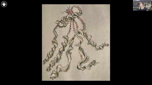 Documenting Botanical Diversity Module 6: Field sketching смотреть онлайн