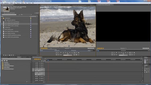 Videoschnitt Tutorial für Adobe® Premiere Pro CS5®, Teil drei: Seitenverhältnisse смотреть онлайн