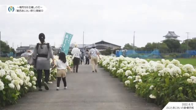 騎西あじさい祭りイベント｜藤とあじさいの道