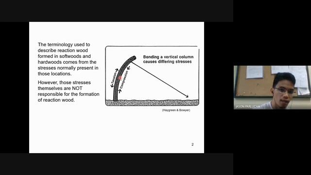 Recorded Lecture on Juvenile wood, reaction wood and wood defects смотреть онлайн