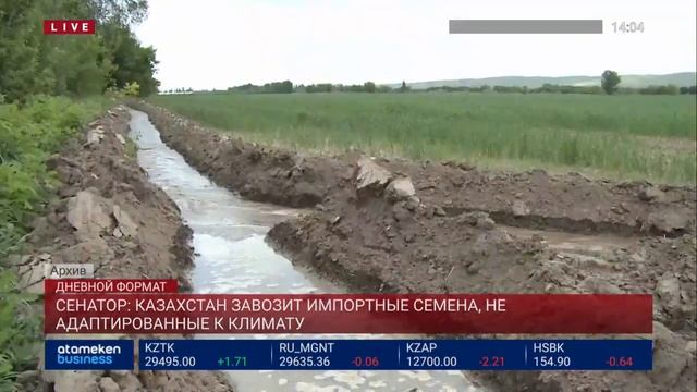 СЕНАТОР: КАЗАХСТАН ЗАВОЗИТ ИМПОРТНЫЕ СЕМЕНА, НЕ АДАПТИРОВАННЫЕ К КЛИМАТУ смотреть онлайн