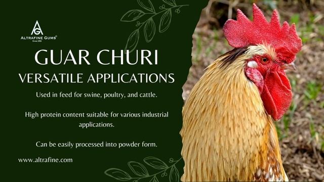 Benefits of Guar Churi смотреть онлайн