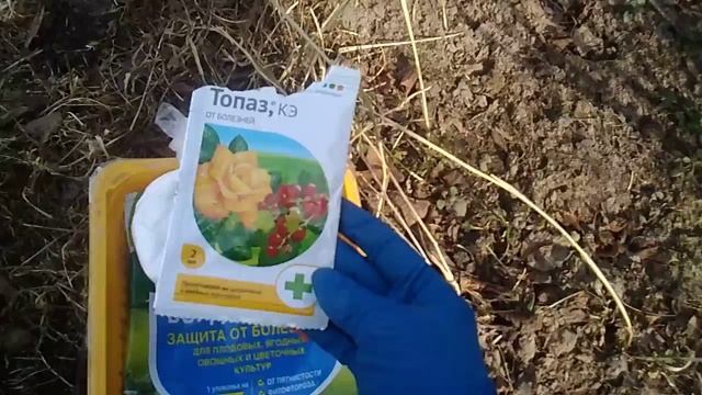 СРОЧНО ОПРЫСКАЙТЕ САД !!!!