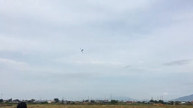 Logo mikado 500 se - pilot Phuong tony смотреть онлайн