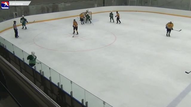 ЛОНОПАРК 3 : 4ПБ Tigers. Игра № 13 смотреть онлайн