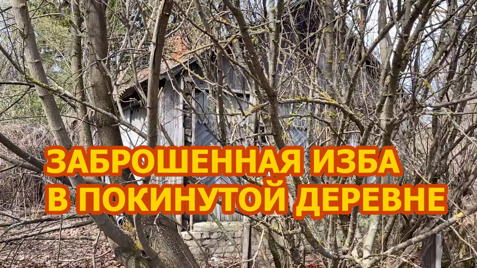 В полностью вымершей деревне нашли в зарослях заброшенную избу. Находки из прошлого внутри смотреть онлайн