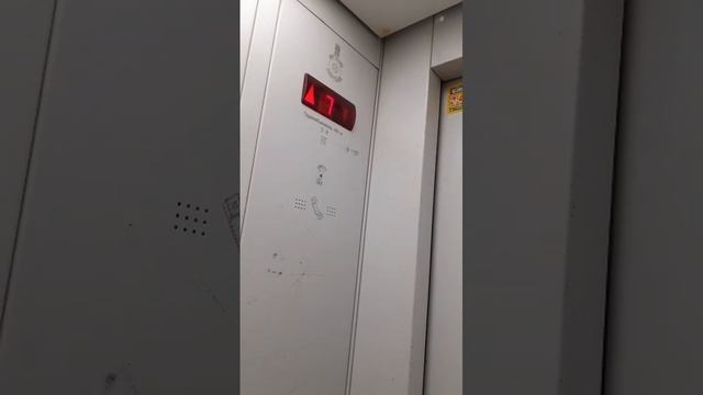 WhatsApp Video 2025-04-17 At 13.07.24