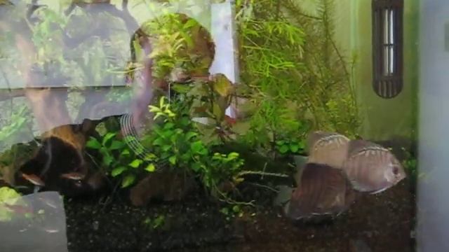 Дискусы на работе смотреть онлайн